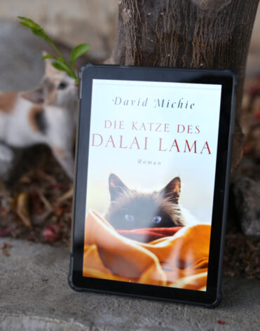 Die Katze des Dalai Lama, David Michie - Buchrezension