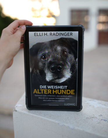 Die Weisheit alter Hunde, Elli H. Radinger - Buchrezension