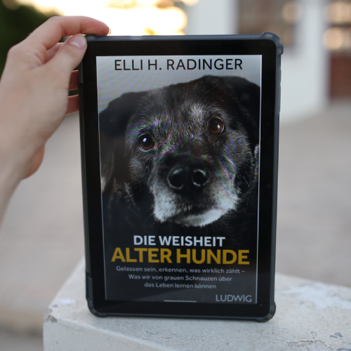 Die Weisheit alter Hunde, Elli H. Radinger - Gelassen sein, erkennen, was wirklich zählt – Was wir von grauen Schnauzen über das Leben lernen können